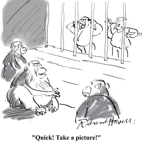 'Quick! Take a picture!'