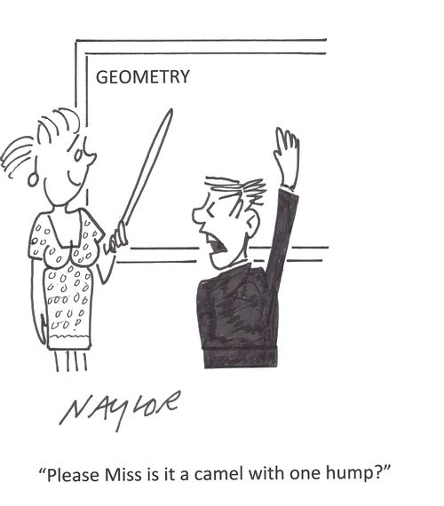 'Please Miss is it a camel with one hump?'