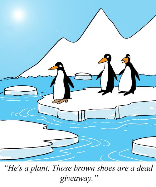 'He's a plant. Those brown shoes are a dead giveaway.'