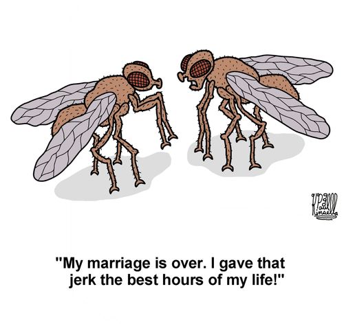 'My marriage is over. I gave that jerk the best hours of my life!'