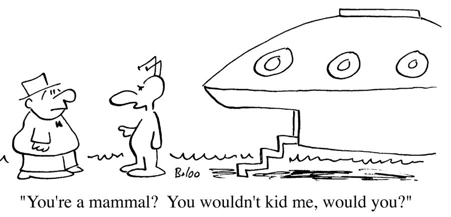 You're a mammal? You wouldn't kid me, would you?
