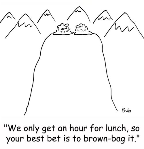 'We only get an hour for lunch, so your best bet is to brown-bag it.'