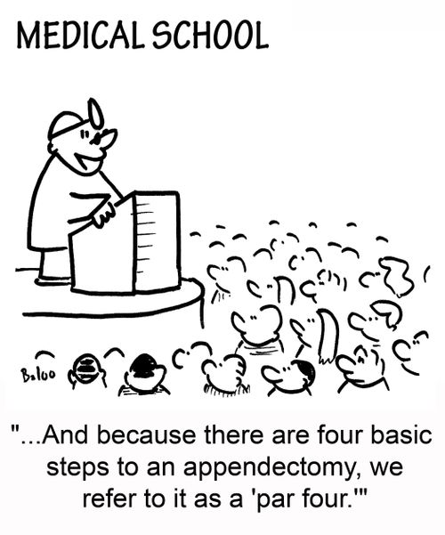 '...And because there are four basic steps to an appendectomy, we refer to it as a 'par four.''
