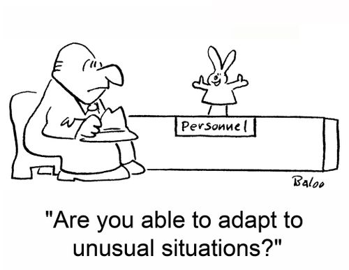 'Are you able to adapt to unusual situations?'