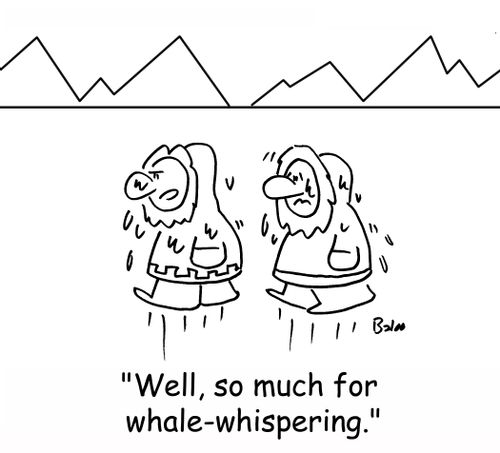 'Well, so much for whale-whispering.'