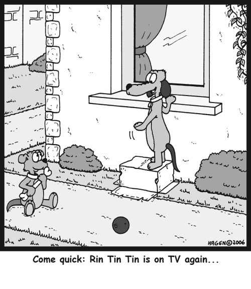 'Come quick: Rin Tin Tin is on TV again...'