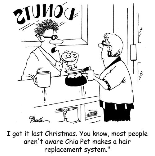 'I got it last Christmas. You know, most people aren't aware Chia Pet makes a hair replacement system.'