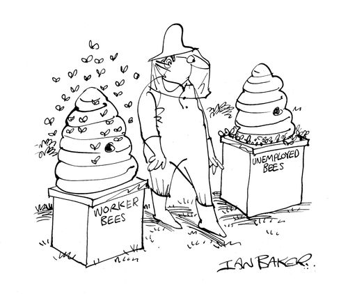 Worker Bees and Unemployed Bees