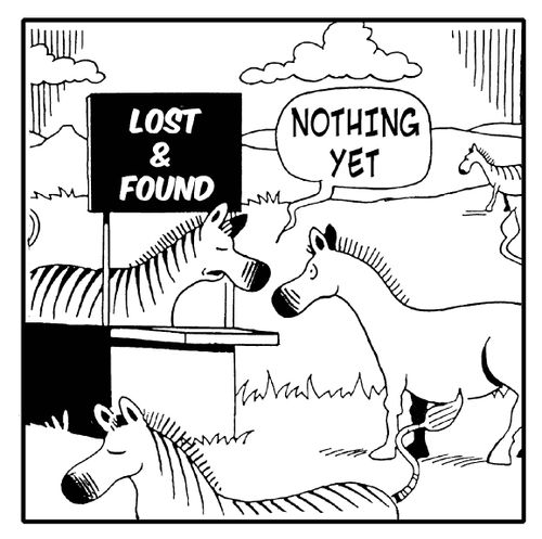 Lost and Found - 'Nothing yet.' (Zebra has lots its stripes).