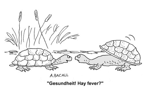 Hay Fever?