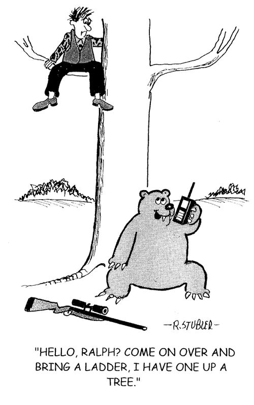 'Hello, Ralph? Come on over and bring a ladder, I have one up a tree.'