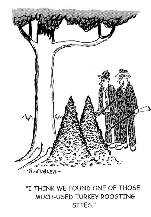 'I think we found one of those much-used turkey roosting sites.'