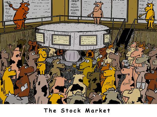 The Stock Market.
