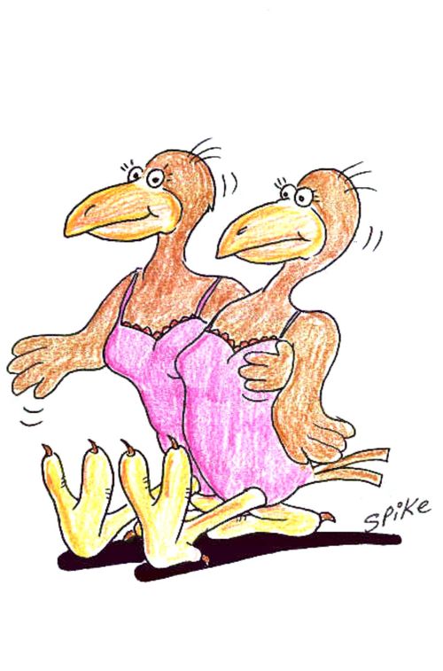 A couple of birds out on the town.
