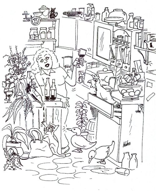 Sloshed in kitchen.