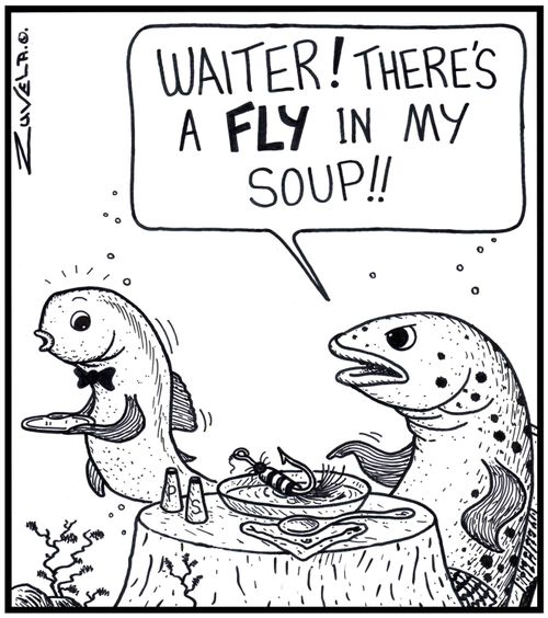 Customer: 'Waiter! There's a FLY in my soup!!' 