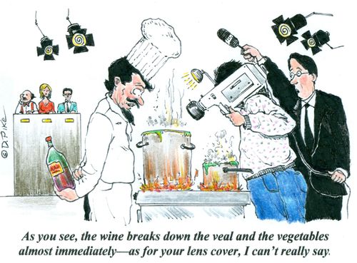 'As you see, the wine breaks down the veal and the vegetables almost immediately--as for your lens cover, I can't really say.'