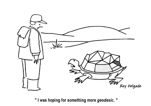 'I was hoping for something more geodesic.'