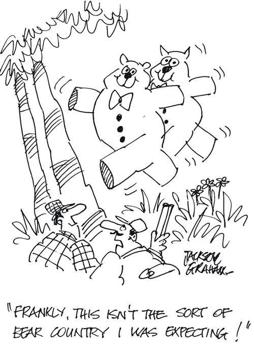 'Frankly, this isn't the sort of Bear contry I was expecting !'