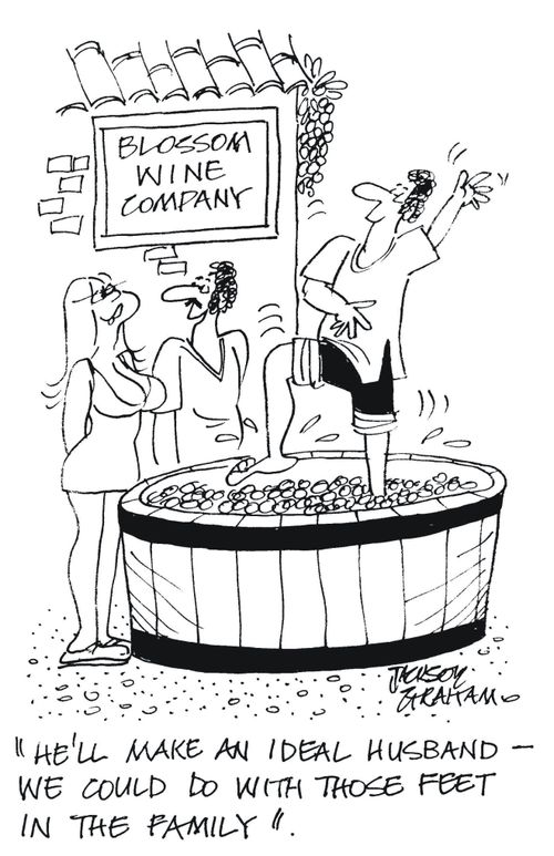 'He'll make an ideal husband-we could do with those feet in the family'.