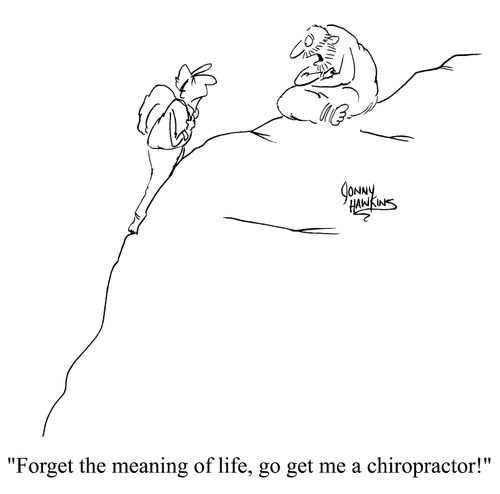 "Forget the meaning of life, go get me a chirpractor."
