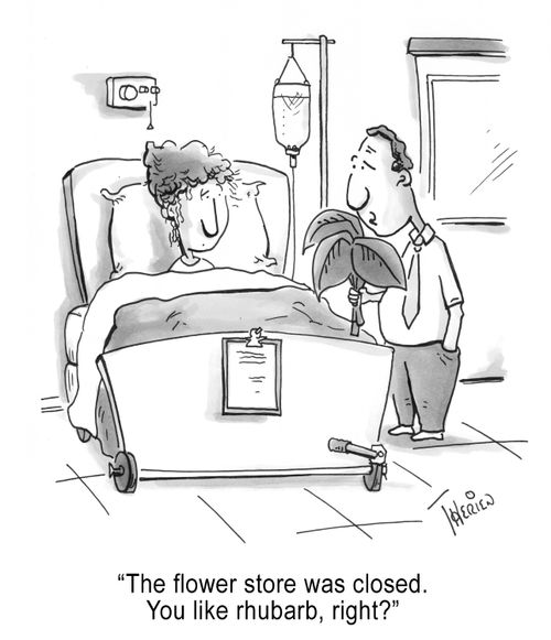 'The flower store was closed. You like rhubarb, right?'