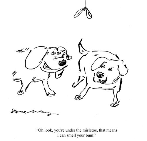 'Oh look, you're under the misletoe, that means I can smell your bum!'