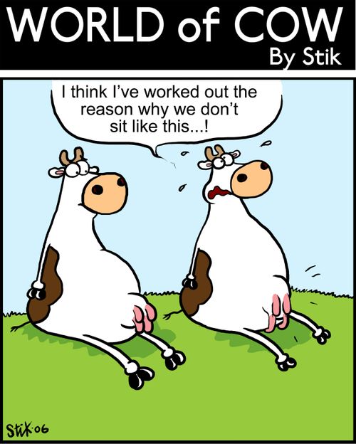 "I think I've just worked out the reason why we don't sit like this..!"