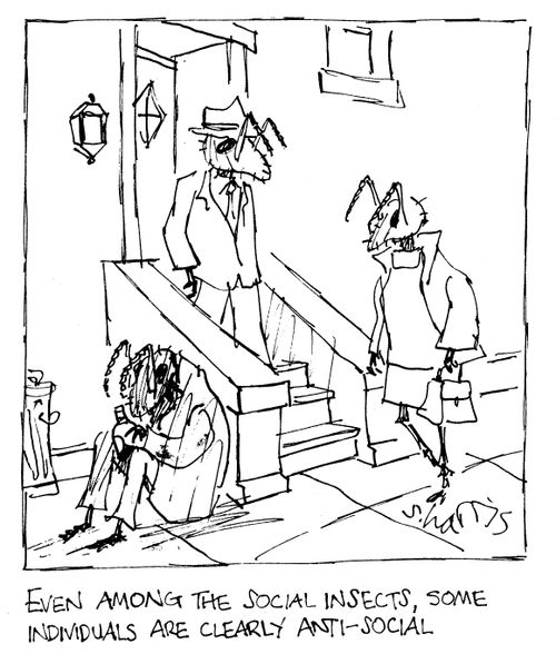 Even Among the Social Insects, Some Invidviduals are Clearly Anti-Social.