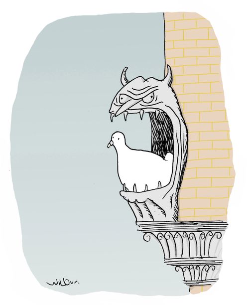 Pigeon Has Nest in Gargoyle.