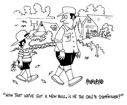 'Now that we've got a new bull, is he the calf's stepfather?'