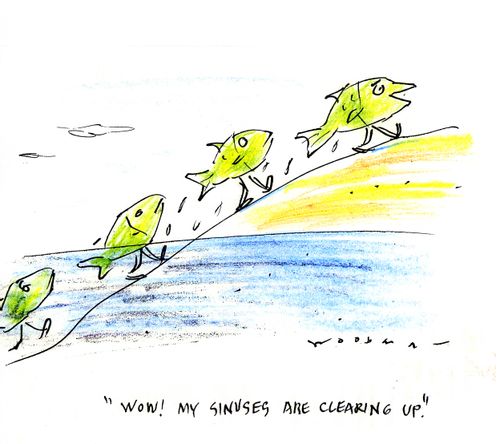 'Wow! My sinuses are clearing up.'