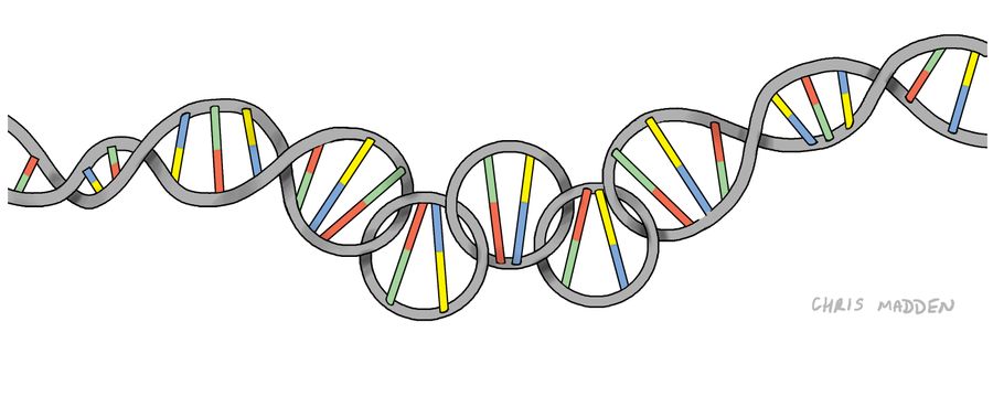 Gene doping in the Olympic Games.