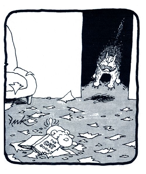 Dog chews 'The Cat Book'.