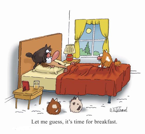 Let me guess, it's time for breakfast.