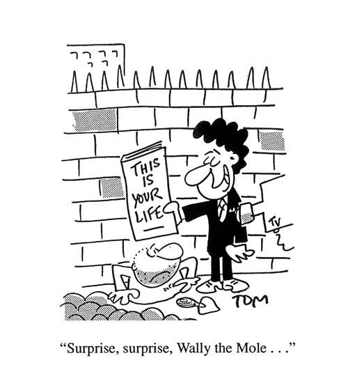 'Surprise, surprise, Wally the mole...'