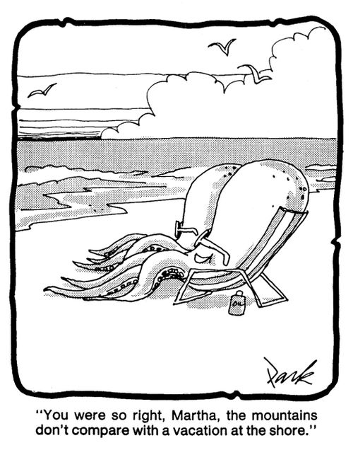 'You were so right, Martha, the mountains don't compare with a vacation at the shore.'