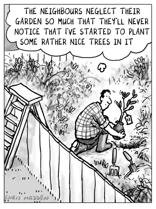 A gardener surreptitiously planting a sapling in a neighbour's neglected garden.
