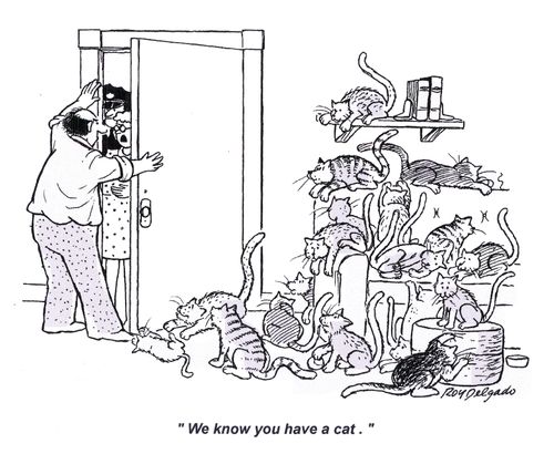 'We know you have a cat.'