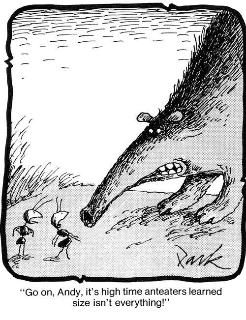 'Go on, Andy, it's high time anteaters learned size isn't everything!'