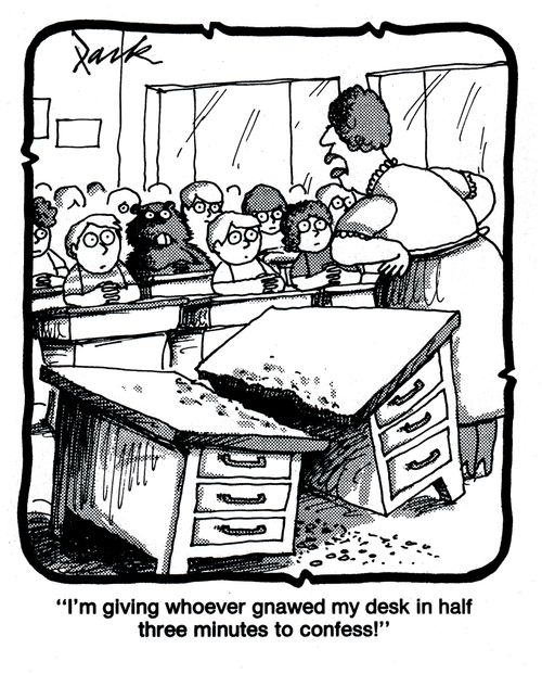 'I'm giving whoever gnawed my desk in half three minutes to confess!'