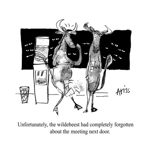 Water-cooler wildebeest.