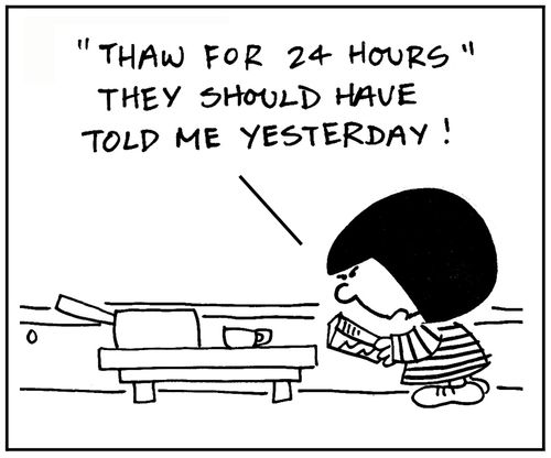 'Thaw for 24 hours. They should have told me that yesterday.'