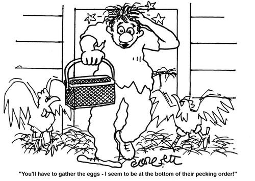 'You'll have to gather the eggs - I seem to be at the bottom of their pecking order!'