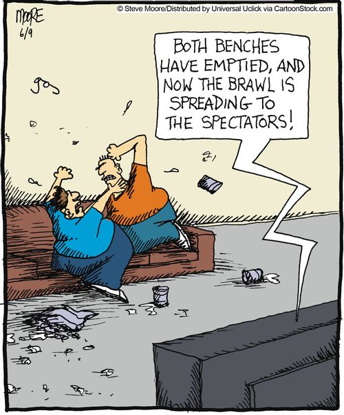 'Both benches have emptied, and now the brawl is spreading to the spectators!'