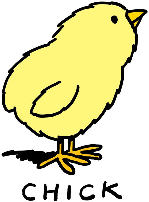 A baby chick 