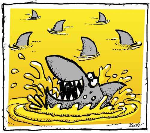 Shark infested custard!