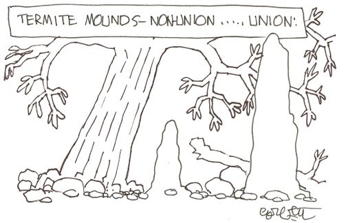 Termite mounds...non-union...union.