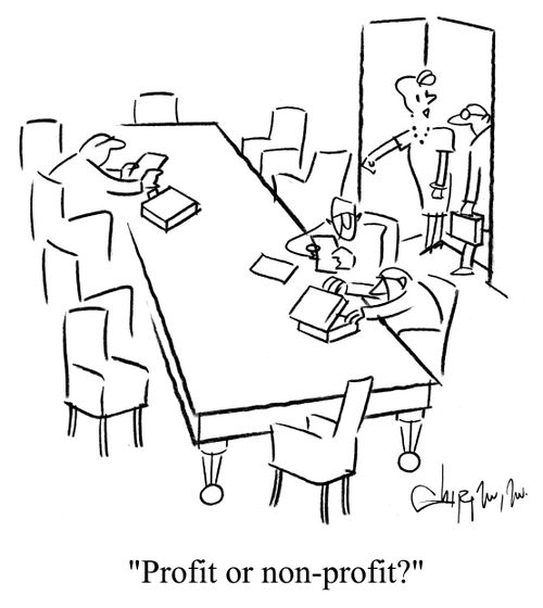 'Profit or non-profit?'