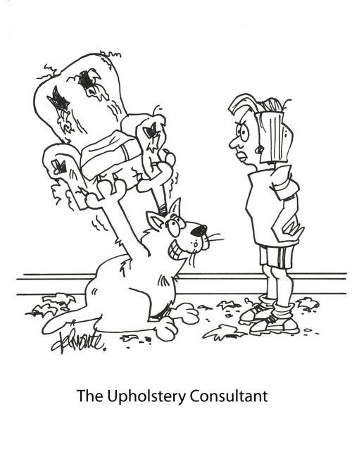 The Upholstery Consultant